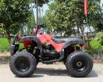 CVT Transmission Youth Racing Atv Air Cooled CDI Ignition