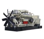 Good Price 1MW Biogas Generator for sale