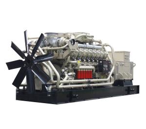 China Good Price 1MW Biogas Generator for sale factory