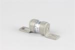 Waterproof 100 Amp Dc Inline Fuse For Semiconductor Protector