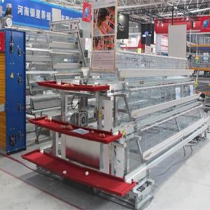 China 10000 Layers Battery Poultry Cage Hens Farm Used factory
