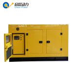 40KVA Natural Gas Generator LPG Generator Biogas Generator