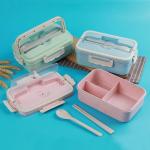 100% Food Grade Material Microwave Heated Biodegradable Bento Tiffin Box Food