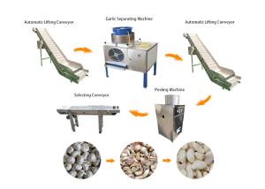 China 7kw 1000-2000 Kg/H Automatic Food Processing Machines Garlic Dry Peeling Machine factory