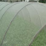 Low Cost Agricultural Greenhouse Anti Insect Proof Plastic Net