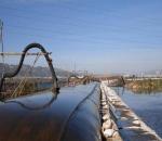 Sludge Geotube Dewatering Bags Dam Dikes Coastal Breakwater reinforcement