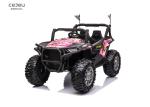 2 Seater Kids Electric UTV Off Road Ride On Car Remote Control