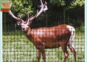 China Strong Black Plastic Mesh, Deer Fence Netting, Deer Barrier, 1 Meter High, 50MM Hole Size factory