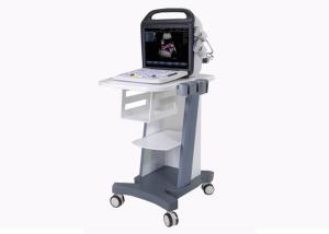 China BCU -30 PRO Mobile Ultrasound Machine , Portable Color Doppler Ultrasound Systerm 15 inch LED Dispay factory