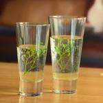 Thick Bottom Heavy Duty Crystal Highball Tumblers