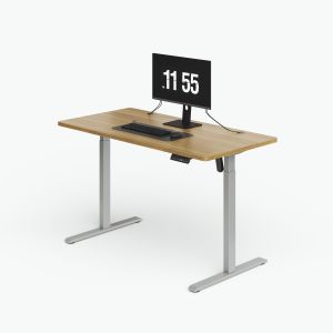 China Customization Home Office Electric Standing Desk With Cable Storage factory