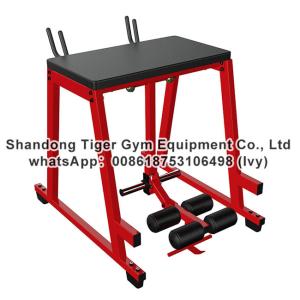 China Strength Fitness Equipment / plate loaded gym fitness equipment / Prone straight leg swing machine factory