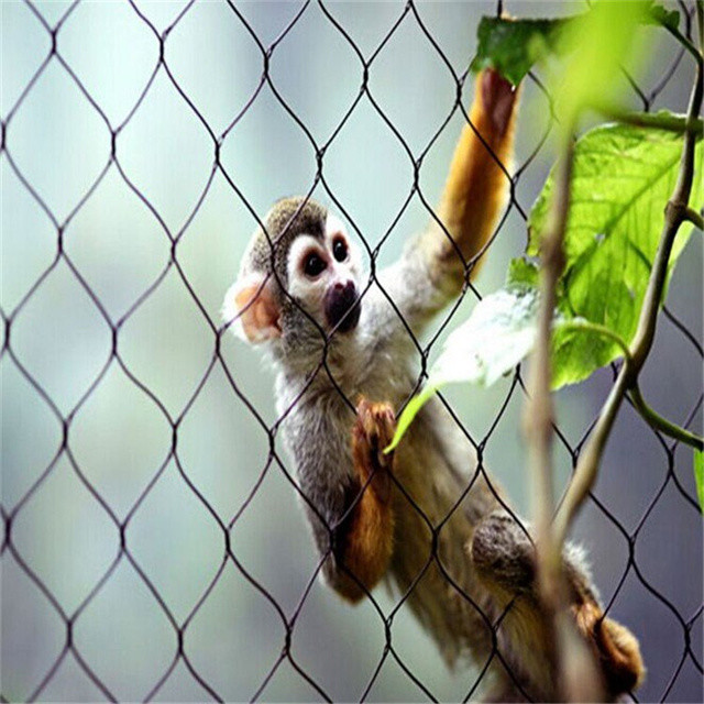 SS304 316 316L Zoo Mesh Corrosion Resistant And Long-Lasting For Animal Enclosures