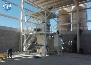 China Tile Adhesive Powder Dry Mortar Equipment Industrial Mixer factory