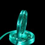 IP20 13W DC12V 6M Outdoor LED Light Strips