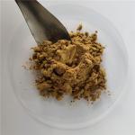 Immune Anti-Fatigue Roughhaired Holly Root Extract