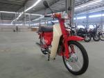 Diesel Power Cub Pocket Motorcycle Drum Brake Electric Or Kick Start