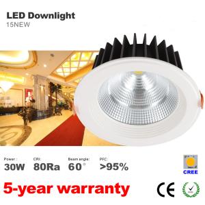 China Dimmable Anti-dazzle 30W Recessed LED Downlight 170mm hole CREE COB LED Light CE Rohs factory