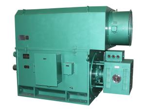 China YKK YRKK Series 6kV Asynchronous Squirrel Cage Motor Three Phase Asynchronous Motor factory