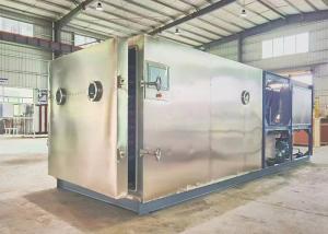 China Compact DIY Stayfresh Freeze Dryer Vacuum Lyophilizer Machine factory