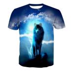 Unisex Sublimation Cotton T Shirt