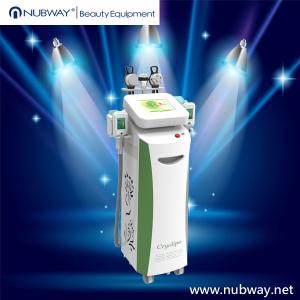 China Non-invasive &amp; Non-surgical Cryolipolysis Slimming Machine for Weight Loss Skin Lifting factory