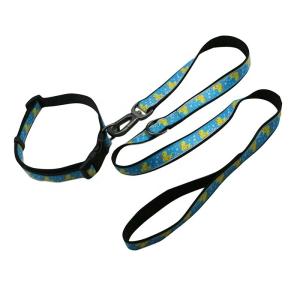 China Double Layer Harness Leash Set Waterproof Pet Collar Leash For Dog factory
