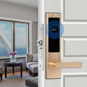 China Noise Proof Hotel Smart Locks Half Auto Intelligent Smart Home Door Handle Lock factory
