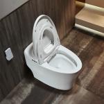 Women Modern Smart Toilet Electric Automatic Flush Intelligent Closet WC