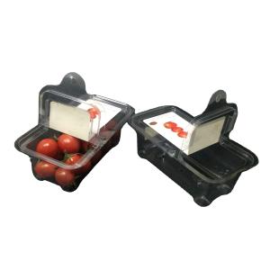 China PET Plastic Packaging Boxes Clamshell Plastic Containers Freshness Visible factory