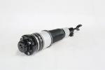 Audi A6 4F2 C6 Pneumatic Air Suspension Front Shock Absorbers 4F06160039AA