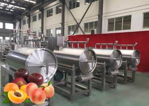 China Modular Design Peach Processing Plant High Productivity 12 Months Warranty factory