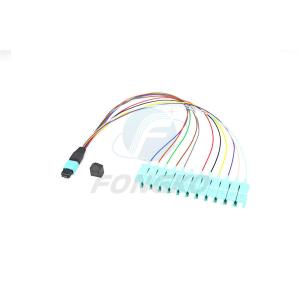 China Single Mode 0.9mm lc MPO To SC Mtp Fanout Cable 0.5m 12 Fiber factory