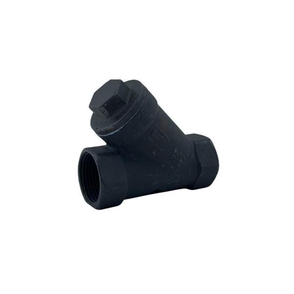 Wcb NPT Bsp Threaded Y-Type Strainer within BSPP End Connection
