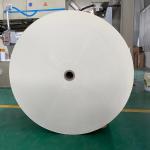 Biodegradable PE Laminated Paper Cup Roll PE Coated Paper In Roll