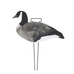 Anti Reflective Plastic GOOSE Hunting Decoy PP Silhouette Branta Canada Goose