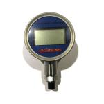 Factory Directly Sell Digital Hydraulic, Air Pressure Gauges