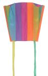 Easy Carrying Nylon Kites Oem / Odm Acceptable Single Line Type 46*32CM