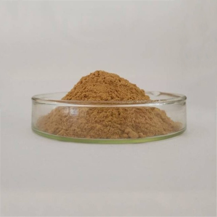 gmp certificate low price lutein/zeaxanthin tablets with best price