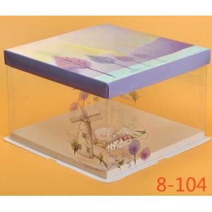 Disposable Clear/transparent Sandwich/cake Plastic Food Container/box/packaging