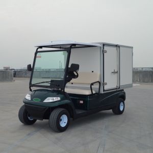 Source factory supply two public security patrol sightseeing car real estate