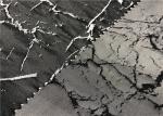 75D *150D Yarn Dyed Graphic Print Fabric , Poly Jacquard Fabric High Breathable