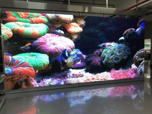China P4.81 RGB SMD LED Panel Rental WIth 500x500mm Aluminum Cabinet factory