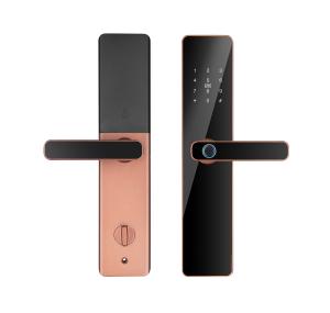 China Office Biometric Fingerprint Password Key Card WIFI BLE Intelligent Door Lock Qleung S819 factory