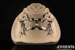 Alloying Metal Materials Dental Framework Suppleness for Oral Health Practitione