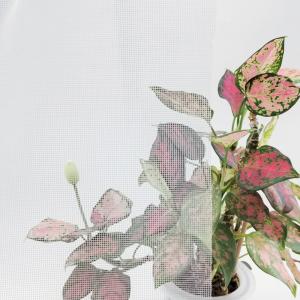 China Durable Fiberglass Bug Screen Mesh / Fiberglass Mosquito Mesh For Pest Free Homes factory