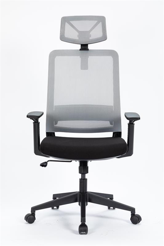 ALINUNU Economic Modern Office Chair with Headrest and 8939 Molded Foam Excellent