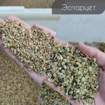 Ergonomic Design Color Sorter Machine