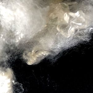 100% Bosilun fiber Hollow Conjugated Polyester Staple Fiber