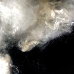 Virgin Material Fluffy PTT Bosilun Fiber Virgin A Grade Eco Friendly For Man -